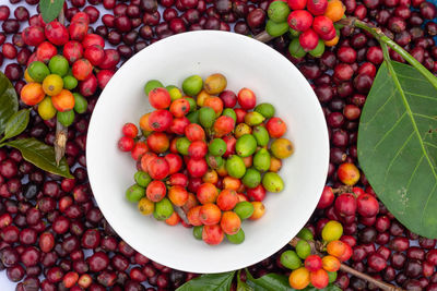 Directly above shot of fruits in bowl