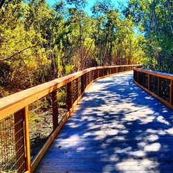 Footbridge over river