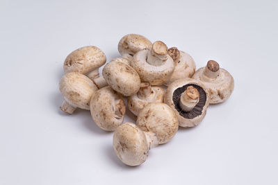 High angle view of mushrooms against white background