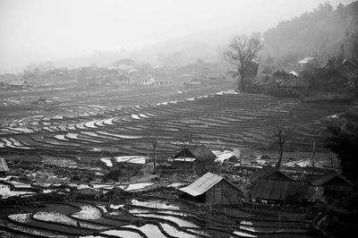 High angle view of houses and trees in village