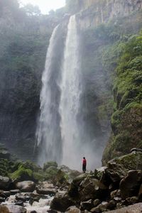 Scenic view of waterfall in forest, coban sriti waterfall.