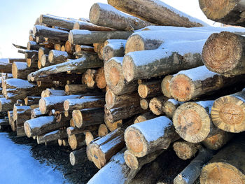 Close-up of logs