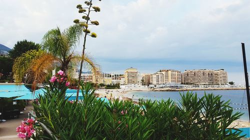 Plants growing by sea against sky