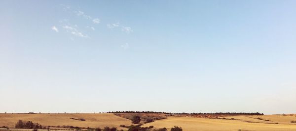 Scenic view of desert against clear sky