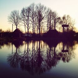 Reflection of trees in water