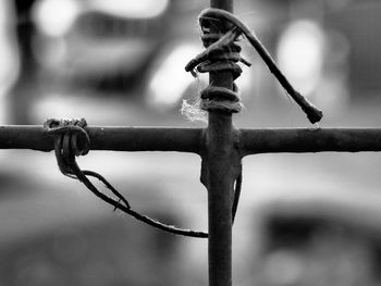 Close-up of rope tied up on fence