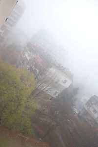 Buildings in foggy weather