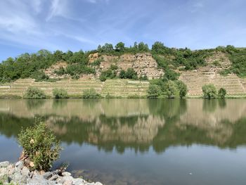 Scenic view of lake by trees against sky