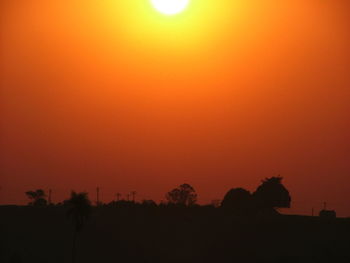 Silhouette trees against clear sky during sunset