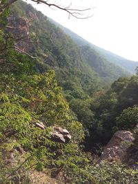 Scenic view of agricultural field