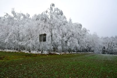 Trees on field against sky