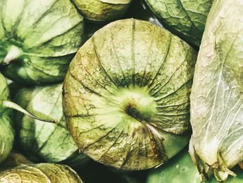 Full frame shot of leaves