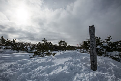 Trees on snow covered field against sky