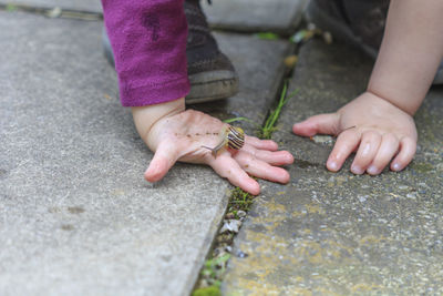 Cropped hand of child with snail