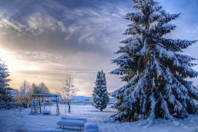 Trees on frozen landscape against sky