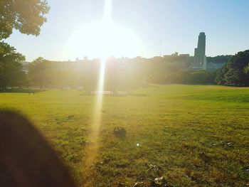 Scenic view of field against clear sky