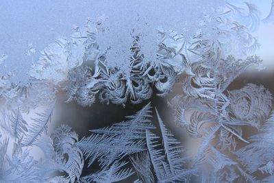 Full frame shot of frozen glass