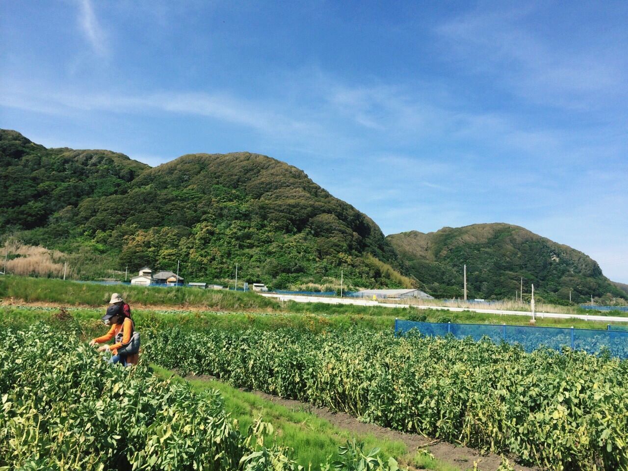 water, lifestyles, leisure activity, blue, mountain, sky, tranquility, scenics, beauty in nature, tranquil scene, men, nature, person, grass, vacations, lake, sea, plant