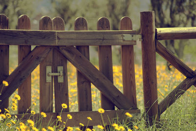 Close-up of railing on field