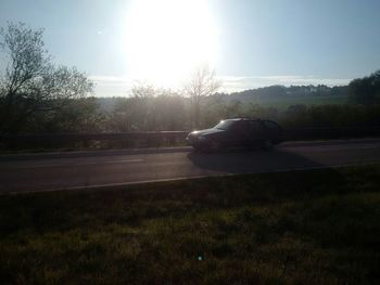 Sun shining through trees on grassy field