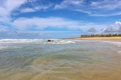 Landscape of imbassai beach costa do sauipe bahia state brazil where the river meets the sea ocean