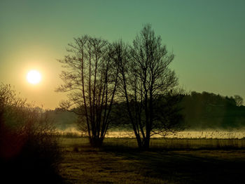 Silhouette bare trees on field against sky during sunset