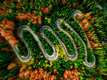 Aerial view of winding road during autumn