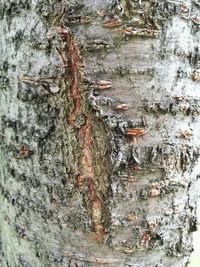 Close-up of weathered wall