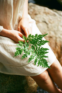 High angle view of woman hand holding leaves