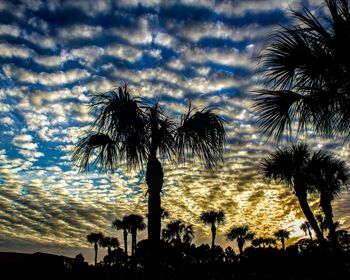 Low angle view of silhouette palm trees against sky