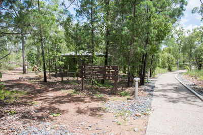 Empty road amidst trees in forest