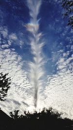 Low angle view of silhouette trees against sky