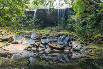 Water flowing through rocks in forest