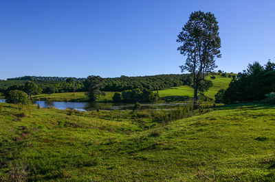 Scenic view of landscape against clear blue sky
