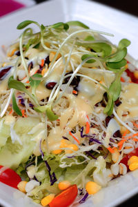 Close-up of salad