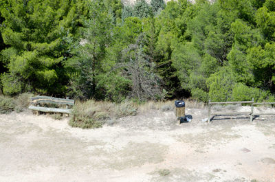 Man in park