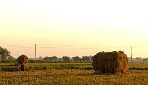 Hay bales on field against sky