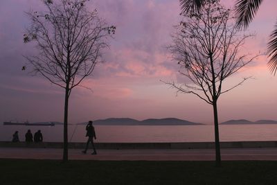 Silhouette people sitting by bare tree against sky during sunset