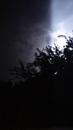 Low angle view of silhouette trees against sky at night