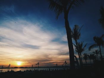 Silhouette palm trees on beach against sky at sunset