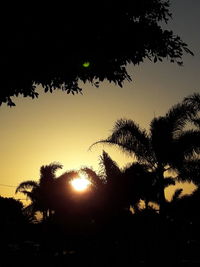 Low angle view of silhouette trees against sky during sunset