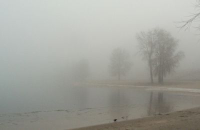 View of calm beach against the sky