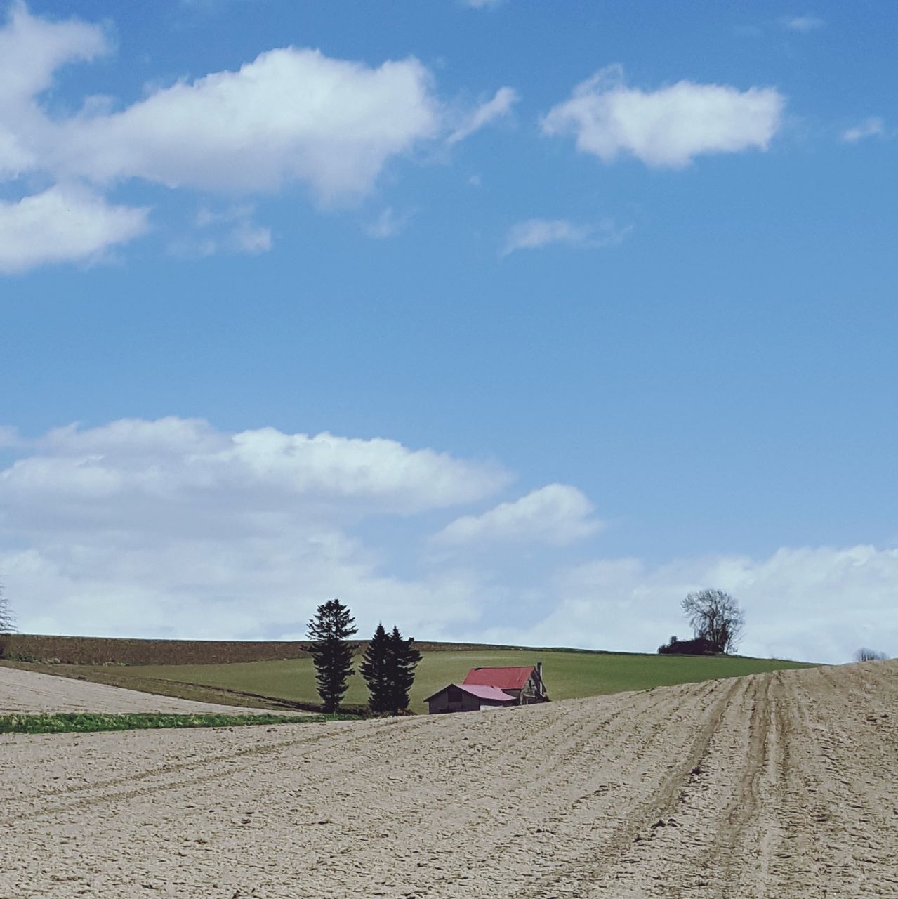 agriculture, sky, cloud - sky, field, farm, rural scene, day, landscape, nature, tranquility, outdoors, growth, no people, scenics, tranquil scene, plough, beauty in nature, tree