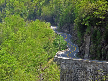 Scenic view of road amidst trees in forest