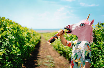 Unicorn drinking wine in vineyard