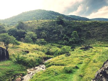 Scenic view of landscape against sky