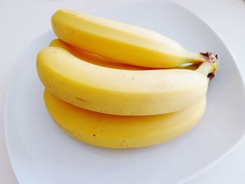 High angle view of yellow fruit in plate