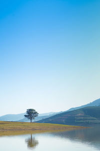 Scenic view of lake against clear blue sky