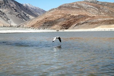 Man in lake against mountain range