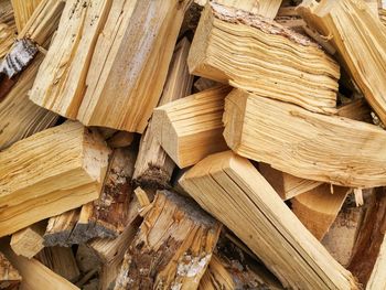 Full frame shot of wooden logs in forest